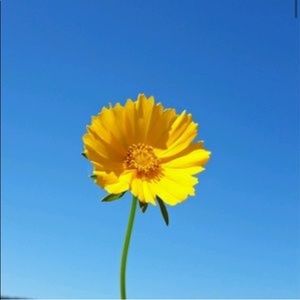 for Tattiana. 44mm. Watch band for Apple Watch